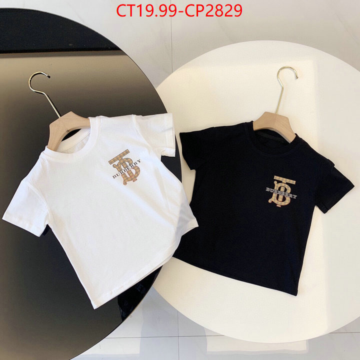 Kids clothing-Burberry,replica sale online , ID: CP2829,