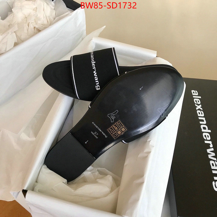 Women Shoes-Alexander Wang,mirror copy luxury , ID: SD1732,$: 85USD