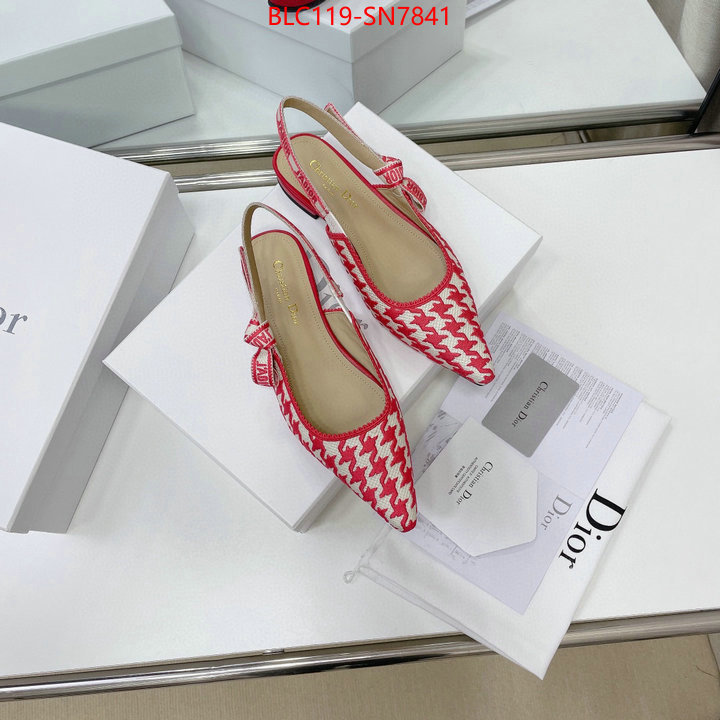 Women Shoes-Dior,outlet 1:1 replica , ID: SN7841,$: 119USD