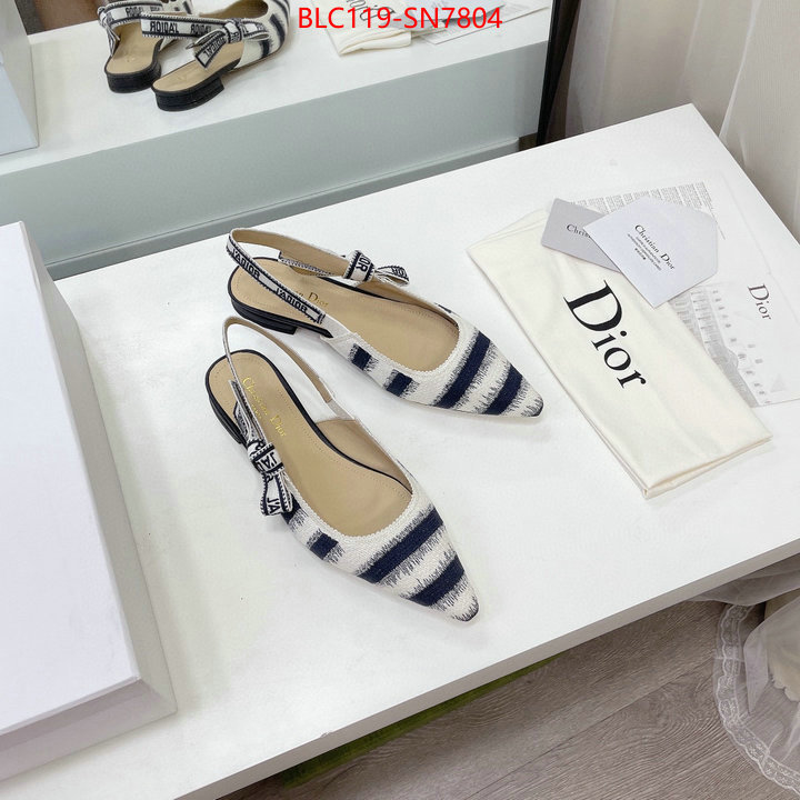 Women Shoes-Dior,wholesale designer shop , ID: SN7804,$: 119USD