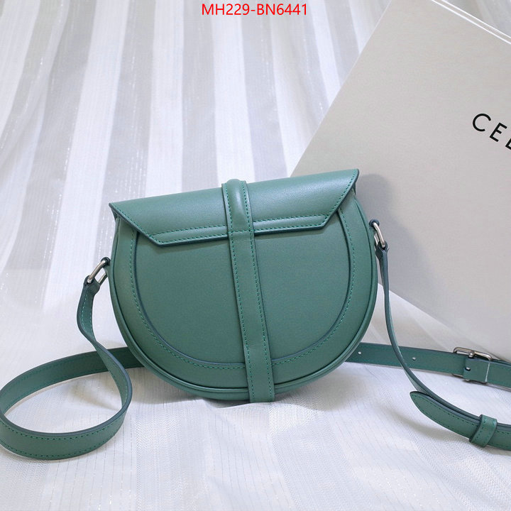 CELINE Bags(TOP)-Diagonal,aaaaa class replica ,ID: BN6441,$: 229USD