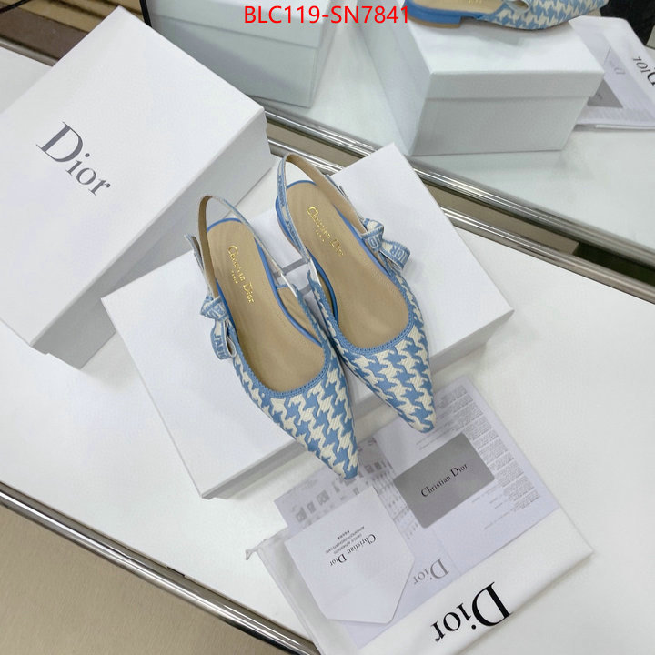 Women Shoes-Dior,outlet 1:1 replica , ID: SN7841,$: 119USD