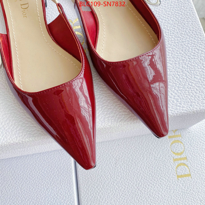 Women Shoes-Dior,2023 replica , ID: SN7832,$: 109USD