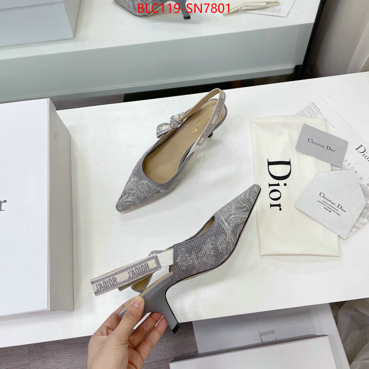 Women Shoes-Dior,what 1:1 replica , ID: SN7801,$: 119USD