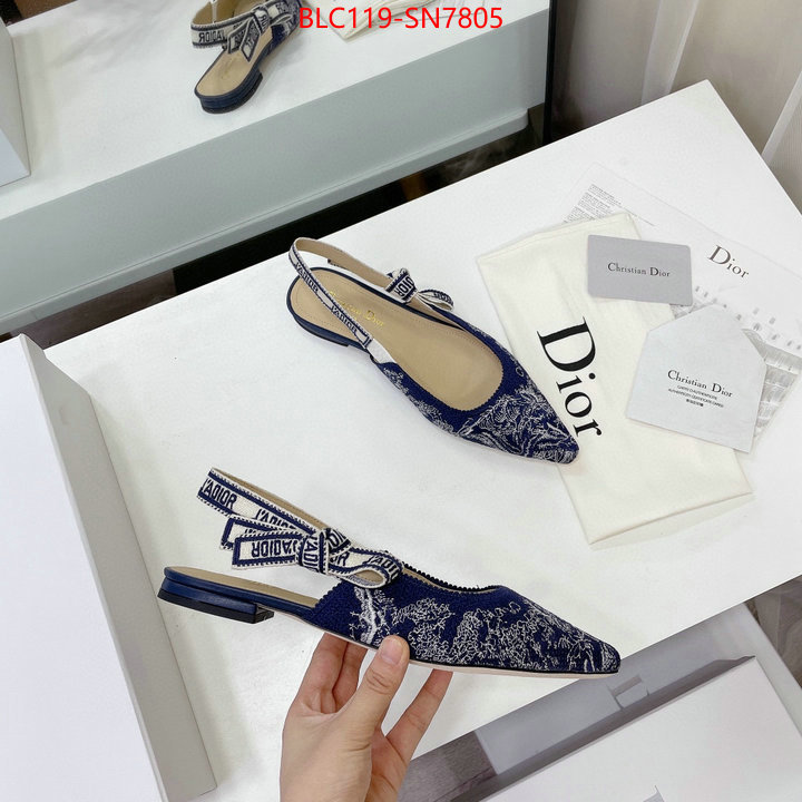 Women Shoes-Dior,the top ultimate knockoff , ID: SN7805,$: 119USD