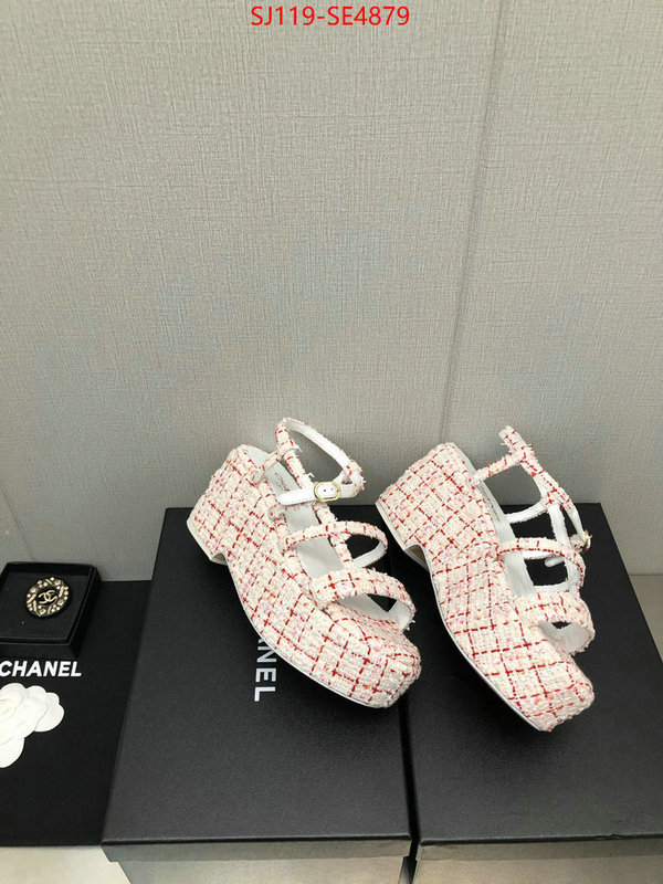 Women Shoes-Chanel,cheap replica designer , ID: SE4879,$: 119USD