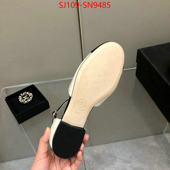 Women Shoes-Chanel,perfect replica , ID: SN9485,$: 109USD