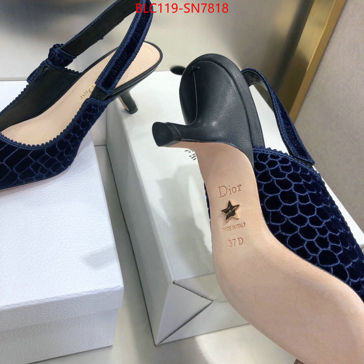 Women Shoes-Dior,aaaaa+ quality replica , ID: SN7818,$: 119USD