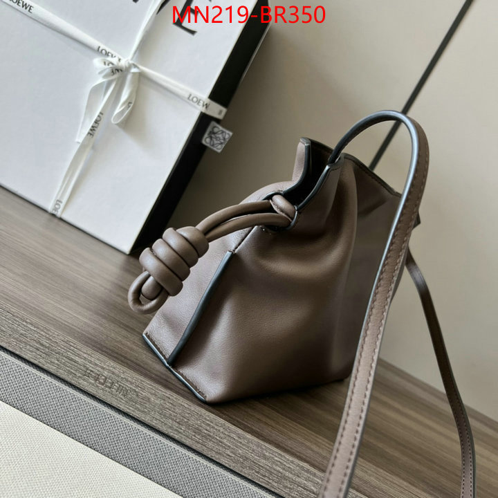 Loewe Bags(TOP)-Diagonal-,online shop ,ID: BR350,$: 219USD