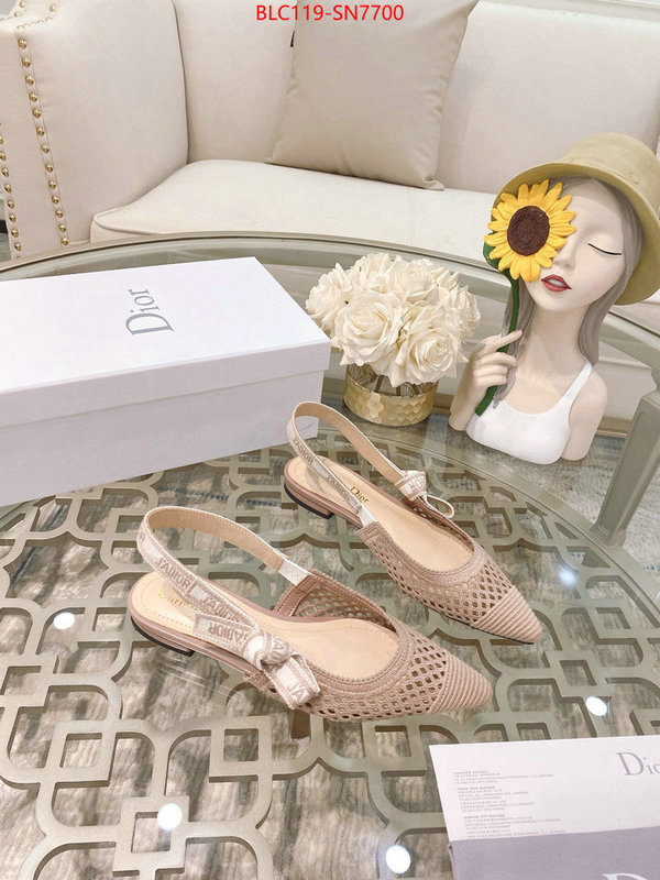 Women Shoes-Dior,sell online luxury designer , ID: SN7700,$: 119USD