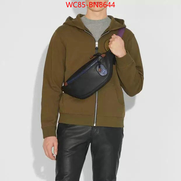 Coach Bags(4A)-Belt Bag-Chest Bag--,the online shopping ,ID: BN8644,$: 85USD