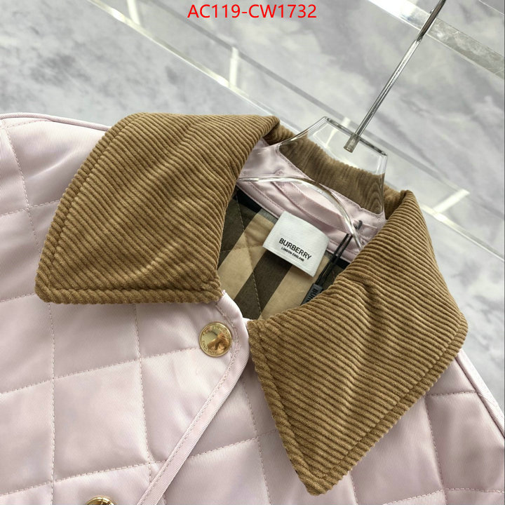 Down jacket Women-Burberry,what's the best to buy replica , ID: CW1732,$: 119USD