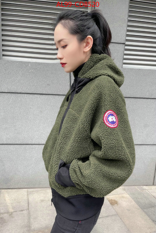 Down jacket Women-Canada Goose,best site for replica , ID: CD8520,$: 99USD