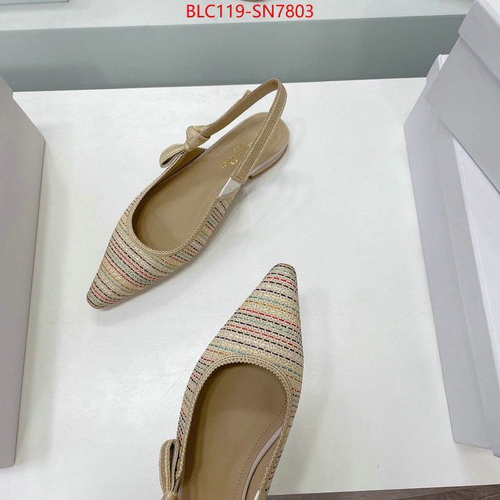 Women Shoes-Dior,replica designer , ID: SN7803,$: 119USD