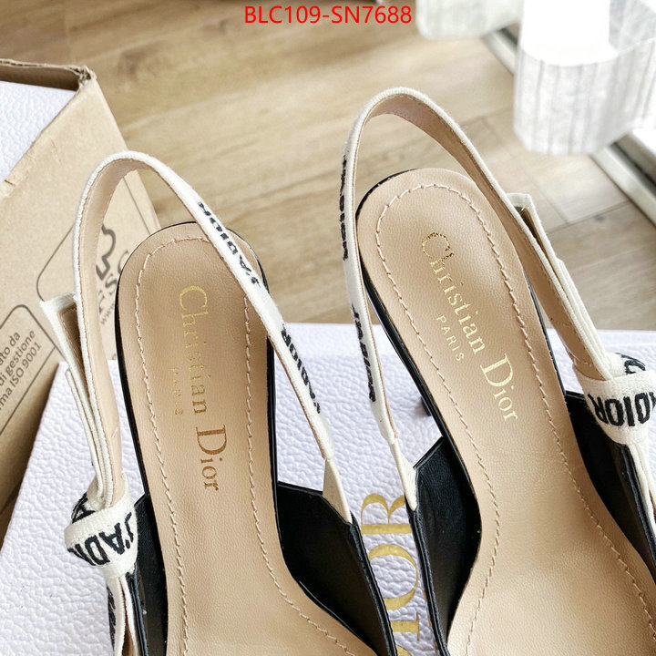 Women Shoes-Dior,fake cheap best online , ID: SN7688,$: 109USD