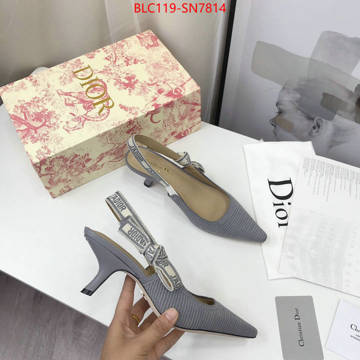 Women Shoes-Dior,how to find replica shop , ID: SN7814,$: 119USD