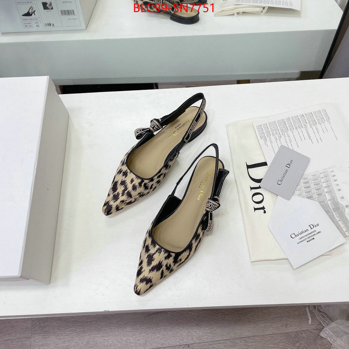 Women Shoes-Dior,the best quality replica , ID: SN7751,$: 99USD