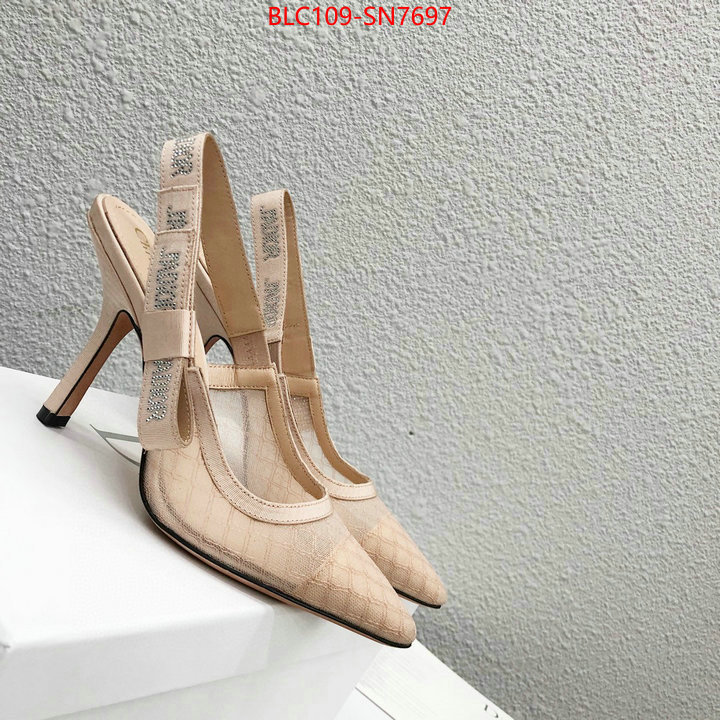 Women Shoes-Dior,top quality designer replica , ID: SN7697,$: 109USD