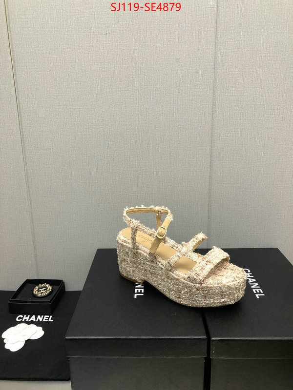 Women Shoes-Chanel,cheap replica designer , ID: SE4879,$: 119USD