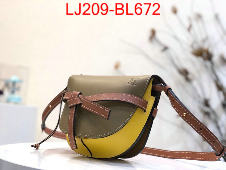 Loewe Bags(TOP)-Diagonal-,the best ,ID: BL672,$:209USD