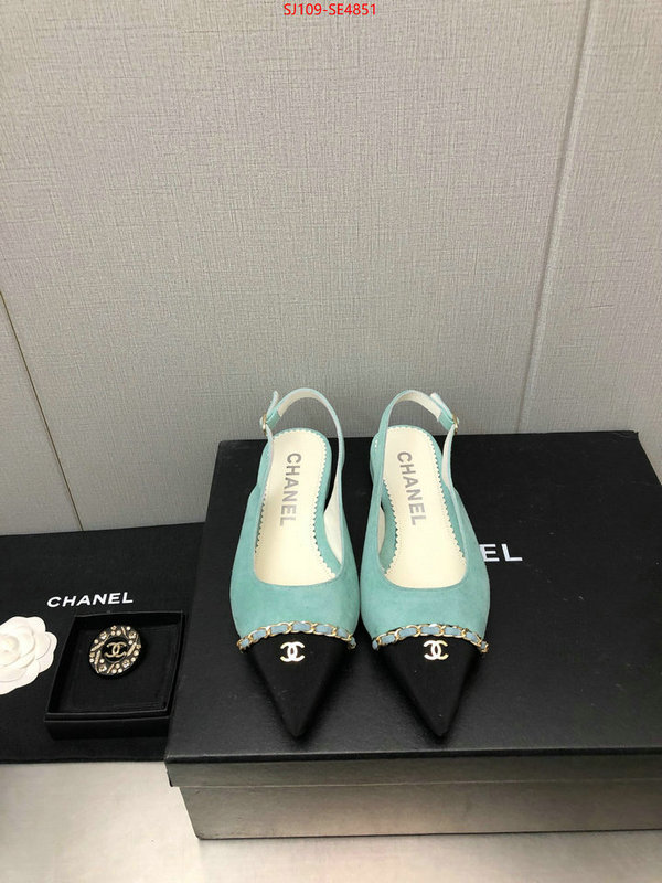 Women Shoes-Chanel,can you buy knockoff , ID: SE4851,$: 109USD