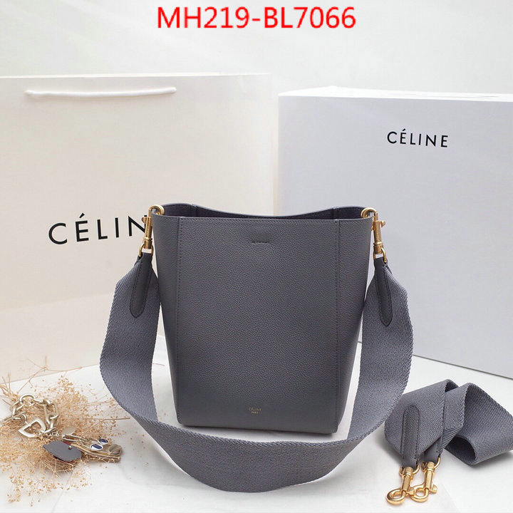 CELINE Bags(TOP)-Diagonal,highest quality replica ,ID: BL7066,$: 219USD