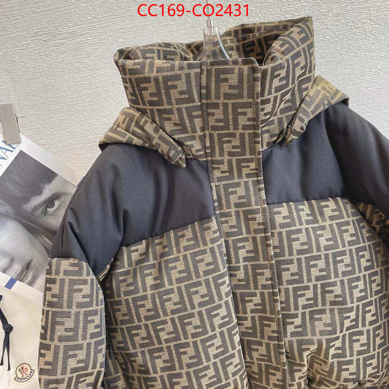 Down jacket Women-Fendi,where can i buy the best quality , ID: CO2431,$: 169USD