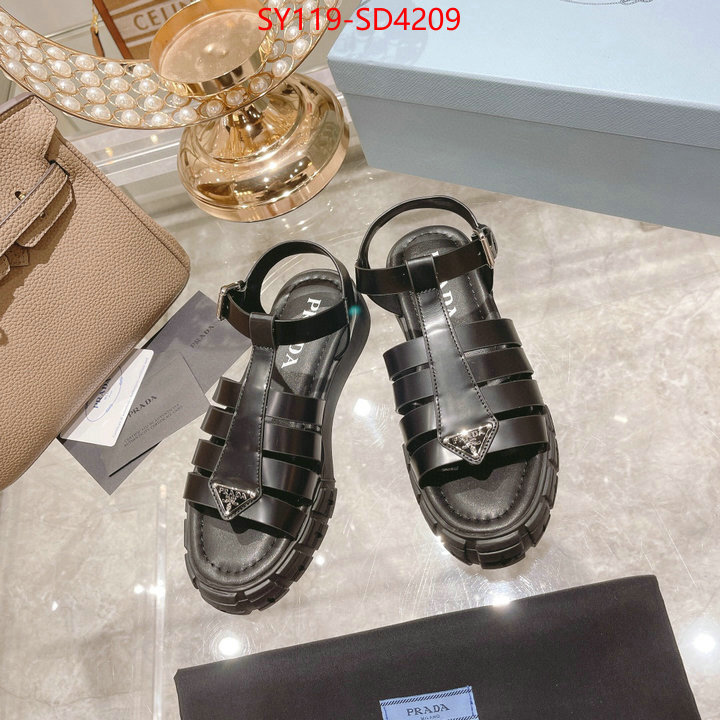 Women Shoes-Prada,fashion designer , ID: SD4209,$: 119USD