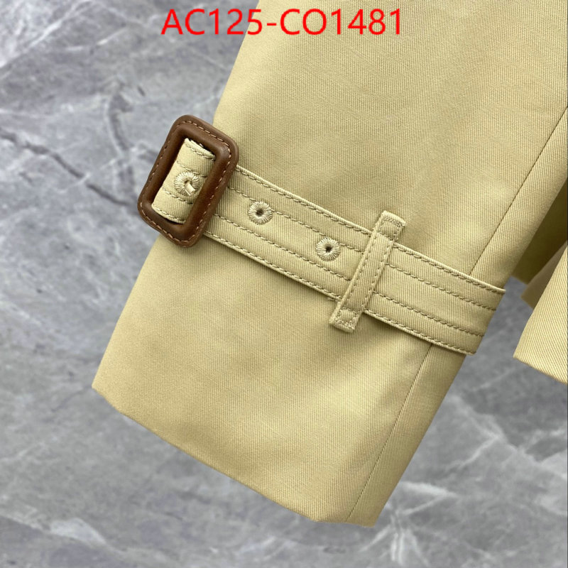 Down jacket Women-Burberry,designer , ID: CO1481,$: 125USD