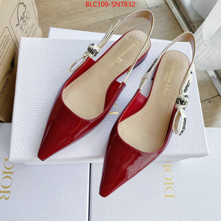 Women Shoes-Dior,2023 replica , ID: SN7832,$: 109USD