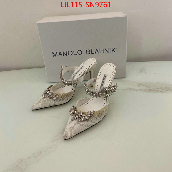 Women Shoes-Manolo Blahnik,where to buy the best replica ,replica us , ID: SN9761,$: 115USD