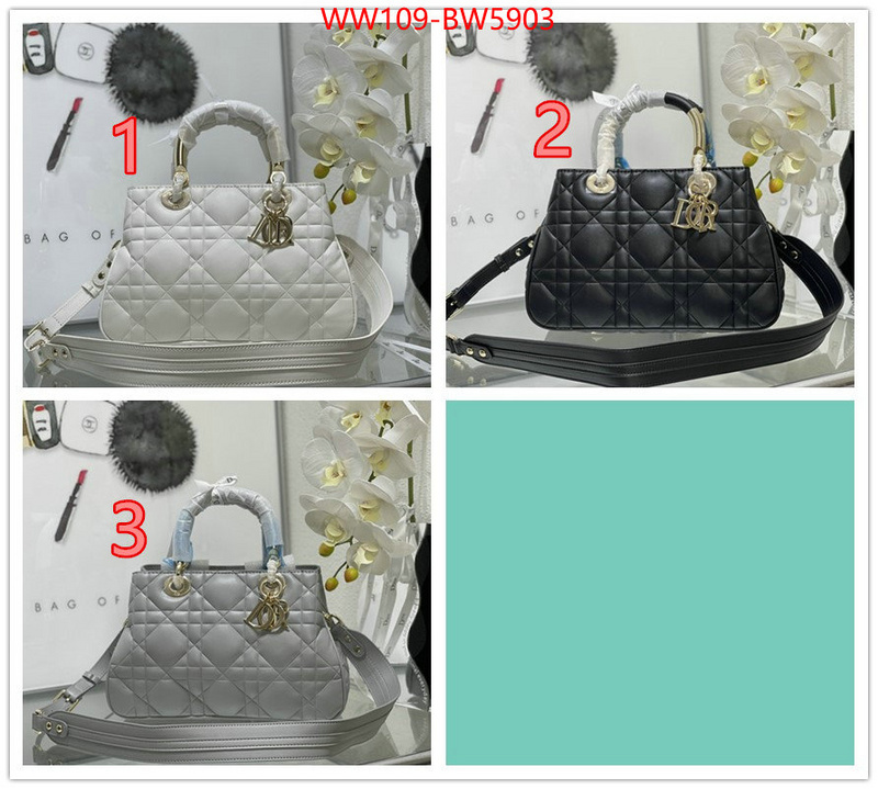 Dior Bags(4A)-Other Style-,ID: BW5903,$: 109USD