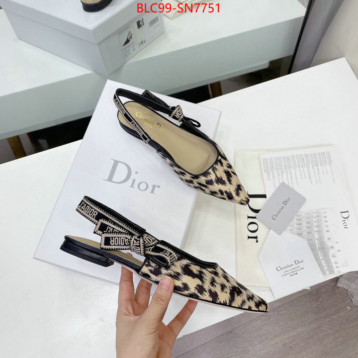 Women Shoes-Dior,the best quality replica , ID: SN7751,$: 99USD