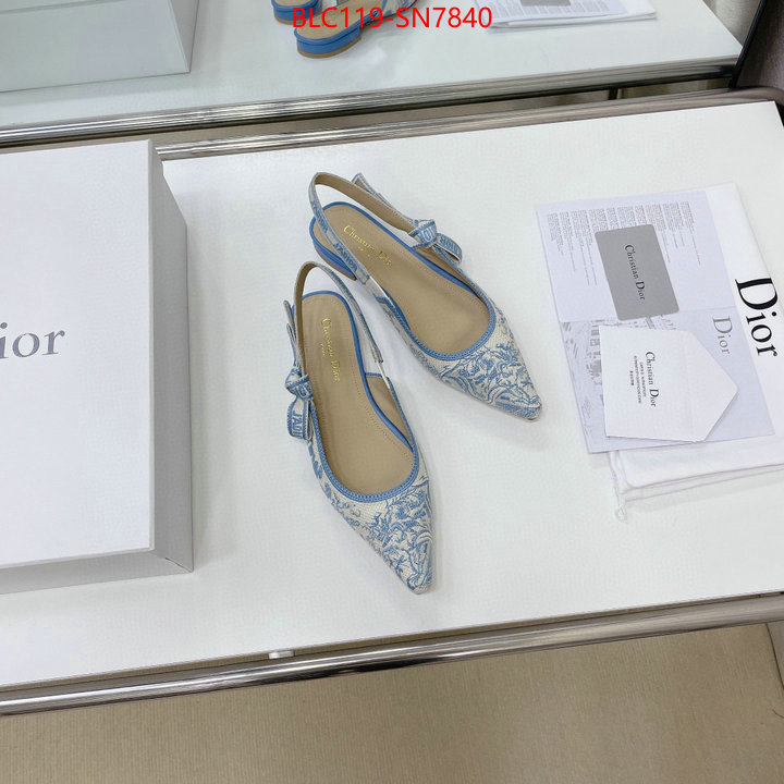 Women Shoes-Dior,replica designer , ID: SN7840,$: 119USD