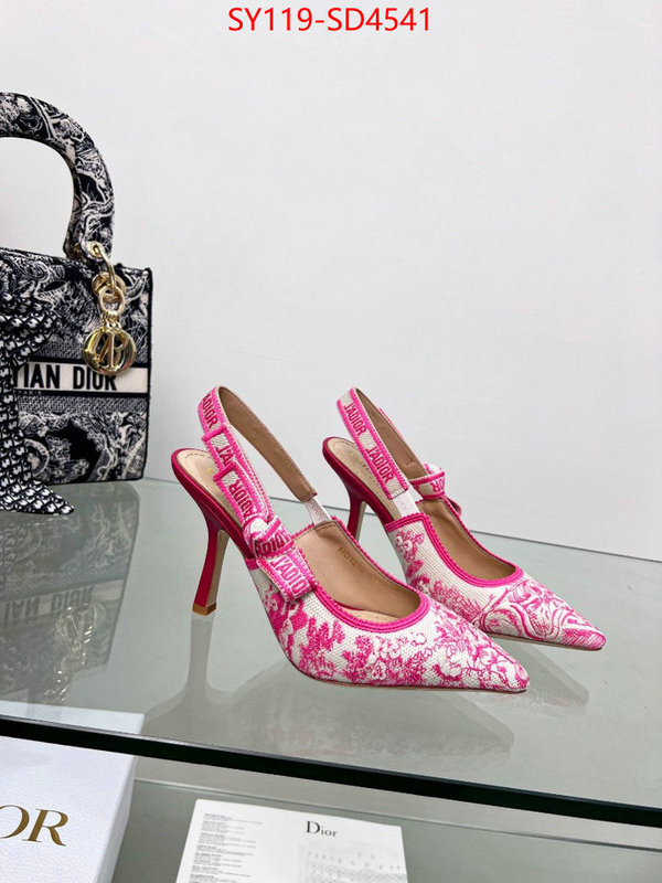 Women Shoes-Dior,most desired , ID: SD4541,$: 119USD