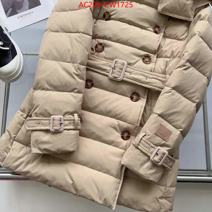 Down jacket Women-Burberry,how to start selling replica , ID: CW1725,$: 229USD