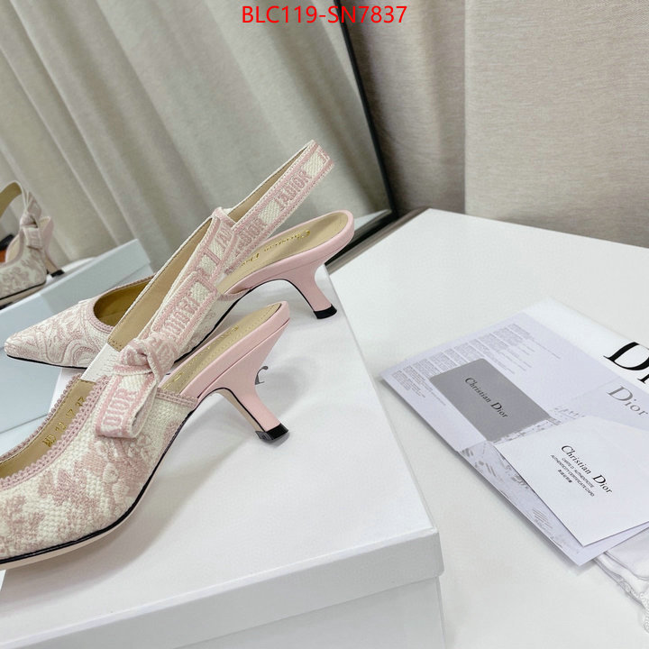 Women Shoes-Dior,replicas , ID: SN7837,$: 119USD