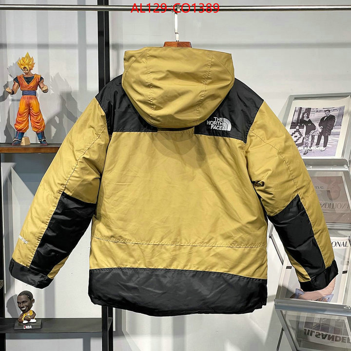 Down jacket Men-The North Face,wholesale sale , ID: CO1389,$: 175USD