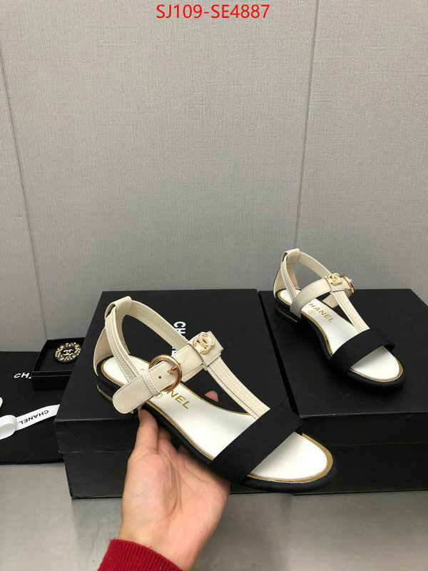 Women Shoes-Chanel,store , ID: SE4887,$: 109USD