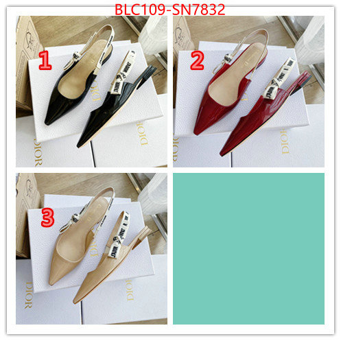 Women Shoes-Dior,2023 replica , ID: SN7832,$: 109USD