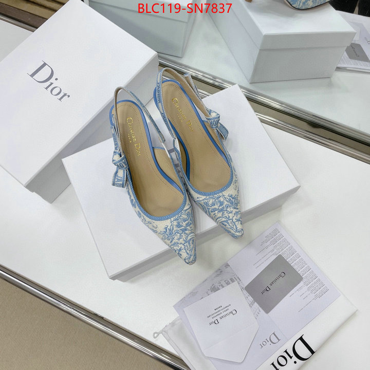 Women Shoes-Dior,replicas , ID: SN7837,$: 119USD