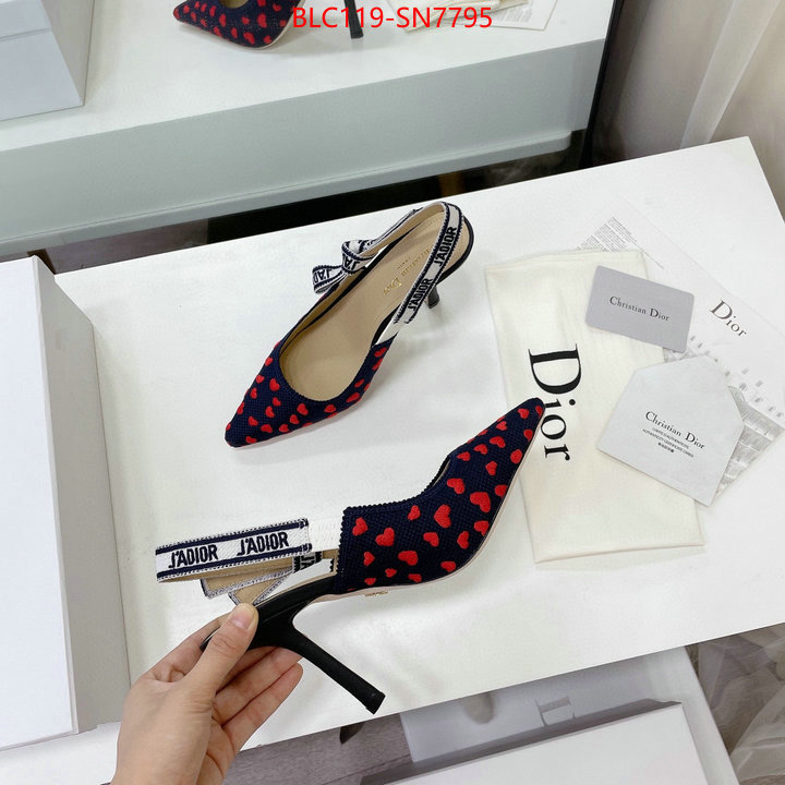 Women Shoes-Dior,what best replica sellers , ID: SN7795,$: 119USD