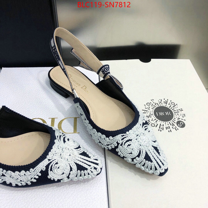 Women Shoes-Dior,buy replica , ID: SN7812,$: 119USD