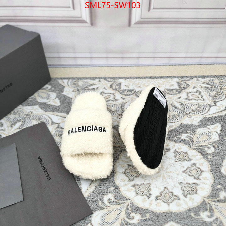 Women Shoes-Balenciaga,fake high quality , ID: SW103,$: 75USD