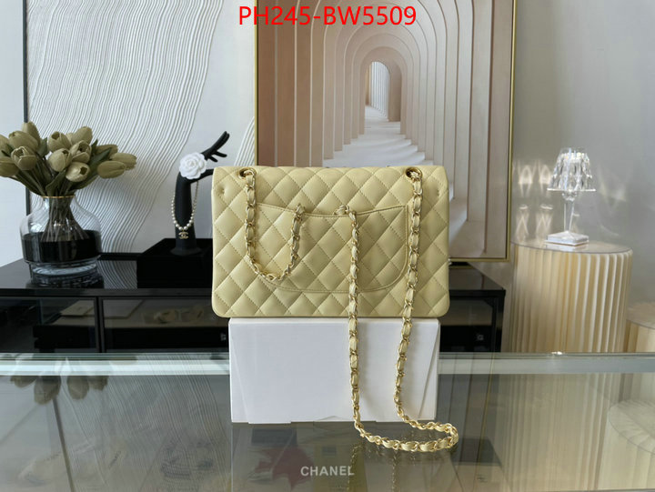 Chanel Bags(TOP)-Diagonal-,ID: BW5509,$: 245USD