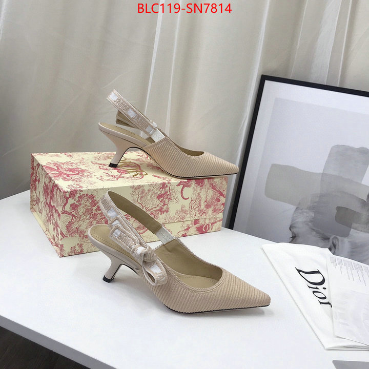 Women Shoes-Dior,how to find replica shop , ID: SN7814,$: 119USD