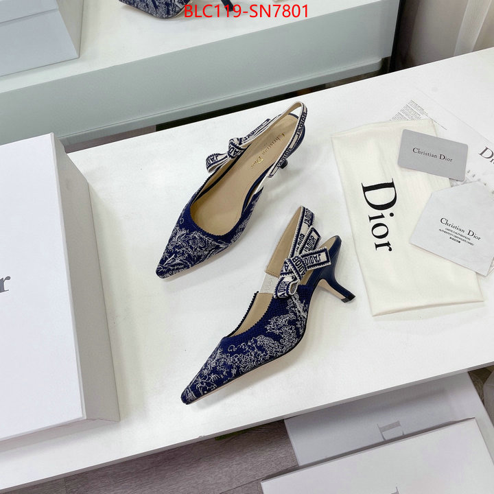 Women Shoes-Dior,what 1:1 replica , ID: SN7801,$: 119USD