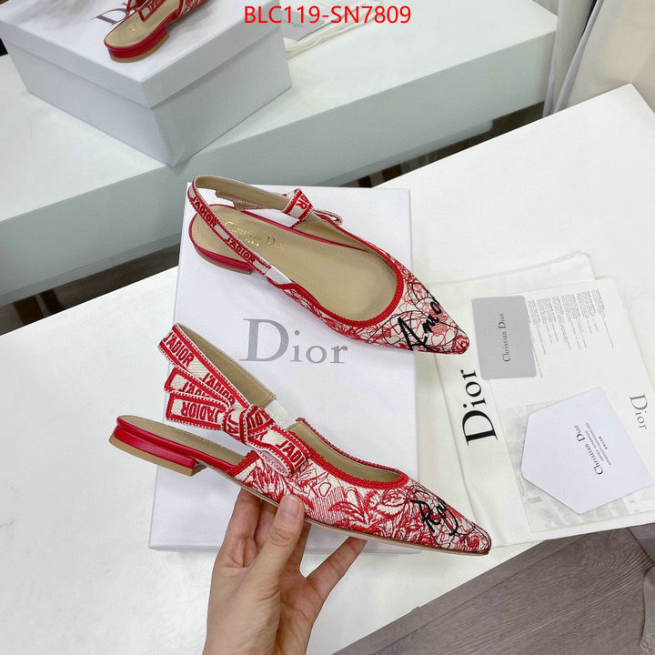 Women Shoes-Dior,designer wholesale replica , ID: SN7809,$: 119USD