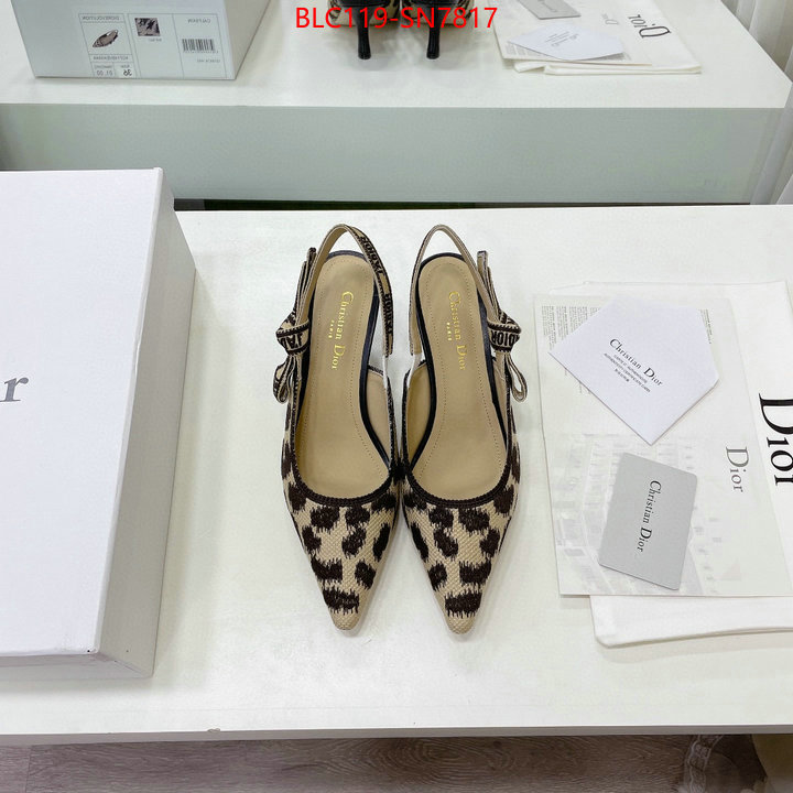 Women Shoes-Dior,top quality fake , ID: SN7817,$: 119USD