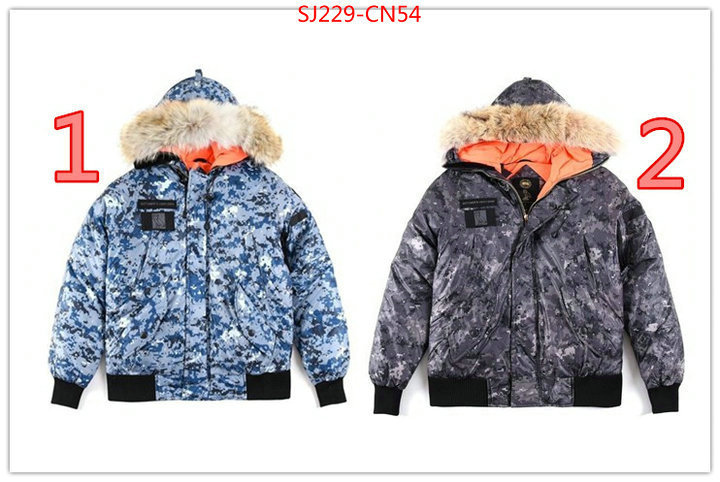 Down jacket Women-Canada Goose,is it ok to buy replica ,aaaaa replica designer , ID: CN54,$: 229USD